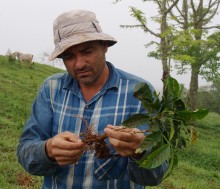Gerardo Corrales