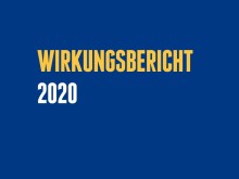Wirkungsbericht 2020