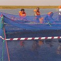 Yalelo-Fischzucht am Kariba-See.jpg